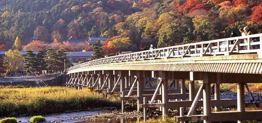 From Osaka: Kyoto, Nara, Fushimi Inari & Arashiyama Day Tour - Who should book this tour?