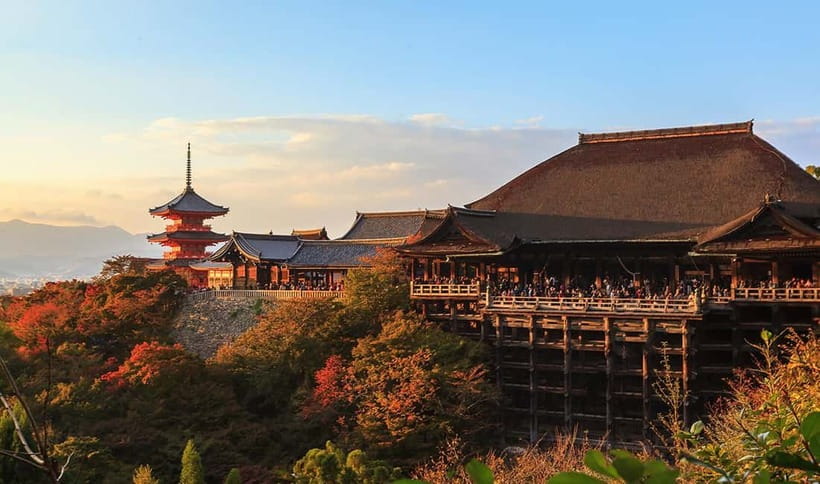 From Osaka: Nara Deer & Kyoto Kiyomizudera Sightseeing Tour - Transport, timing, and the cost of a long day