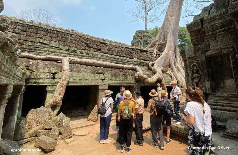 From Phnom Penh: Angkor Wat, Bayon, and Ta Prohm Day Trip - Ta Prohm, where the forest takes over