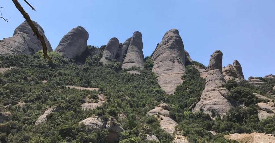 From Salou: Montserrat Monastery and Colonia Güell - How to plan your free time at Montserrat