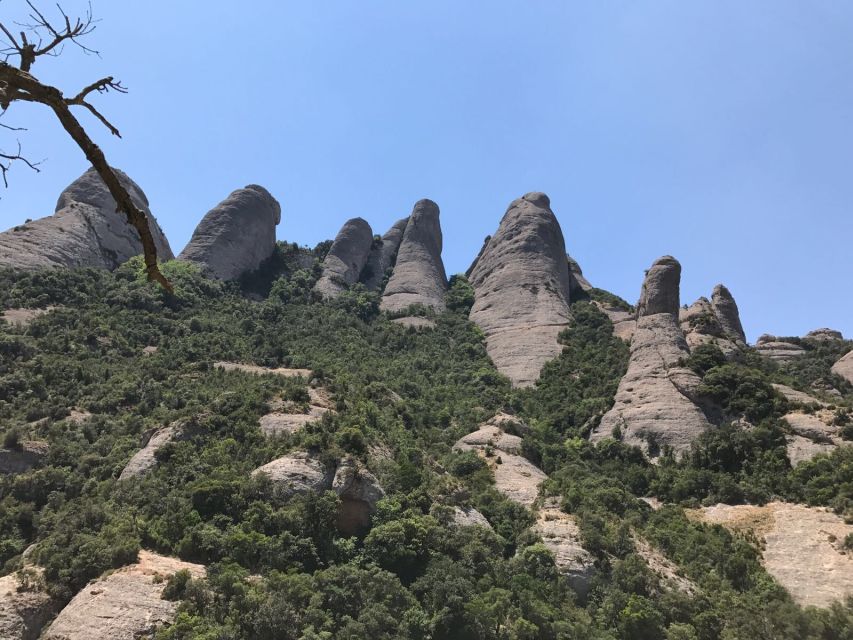 From Salou: Montserrat Monastery and Colonia Güell - Starting at Colonia Güell and Gaudí’s unfinished church