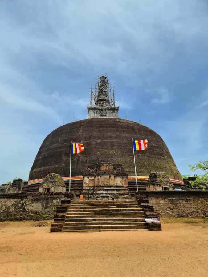 From Sigiriya :Polonnaruwa Ancient City Tour/Day Tour - What the $49 price really covers