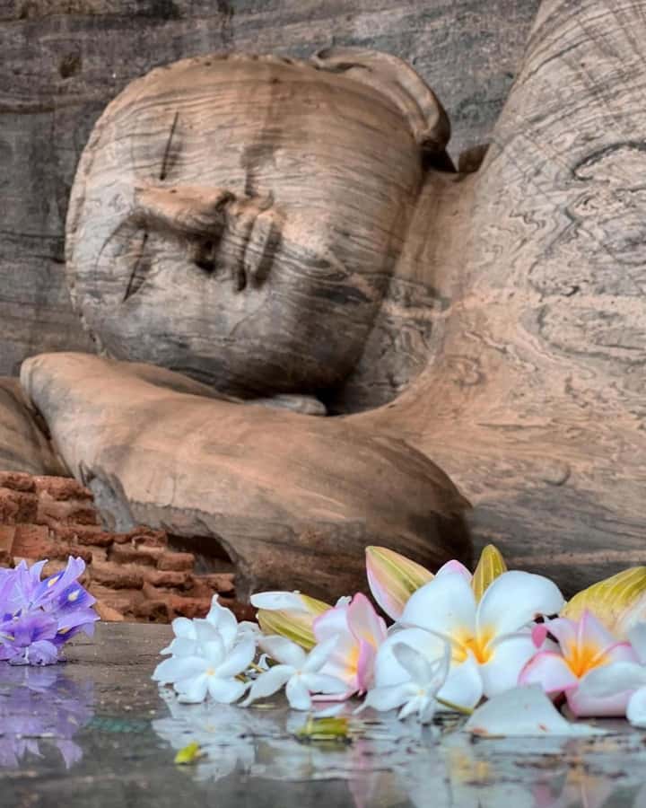 From Sigiriya :Polonnaruwa Ancient City Tour/Day Tour - Leaving Sigiriya for an ancient royal capital