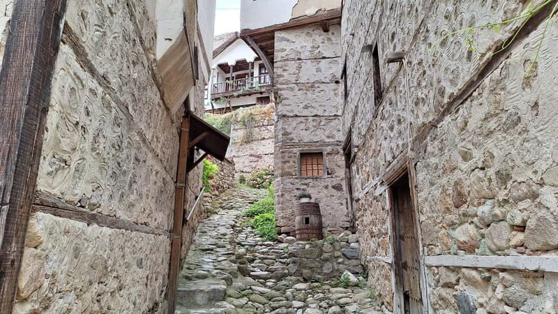 From Sofia: Rila Monastery & Melnik Day Tour - Entering Rila Monastery’s frescoed courtyard