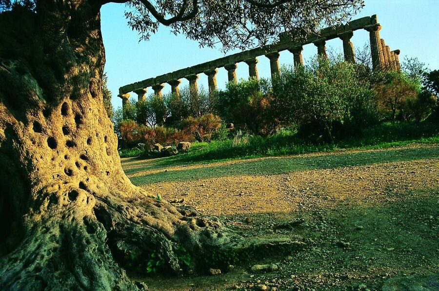 From Taormina: Valley of The Temples & Piazza Armerina Tour - Group size, language, and guiding