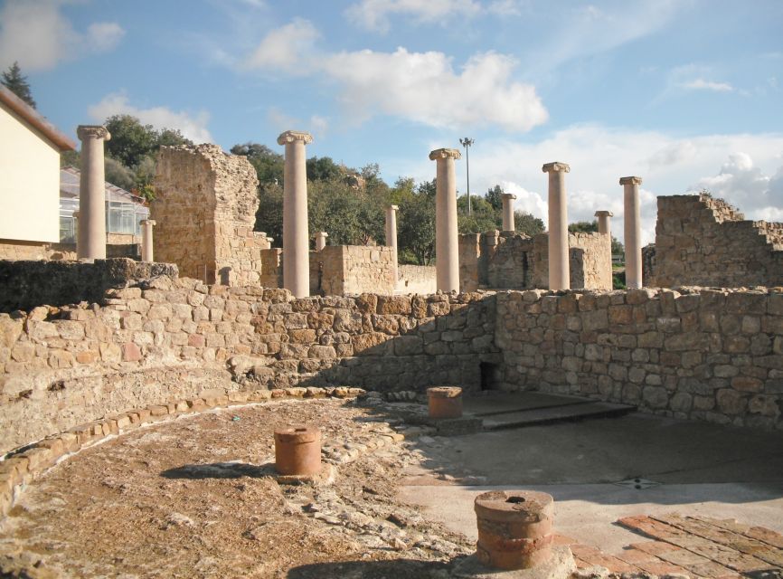 From Taormina: Valley of The Temples & Piazza Armerina Tour - What the $82 price really buys