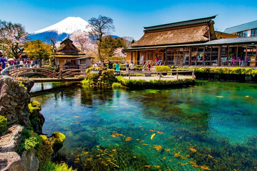 From Tokyo: Fuji Mountain Area - FujiQ - Lake Kawaguchiko - Chureito Pagoda - Oshino Hakkai’s Clear Spring Ponds