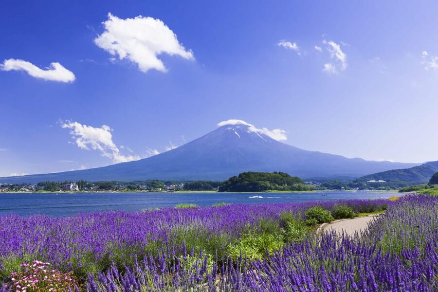 From Tokyo: Fuji Mountain Area - FujiQ - Lake Kawaguchiko - Chureito Pagoda - Lake Kawaguchiko Beyond the Shoreline