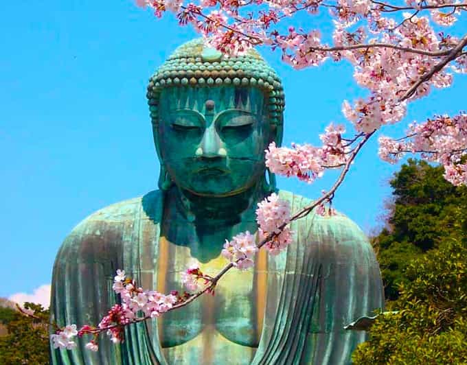 From Tokyo: Kamakura and Enoshima Full-Day Private Trip - Key Points at a Glance
