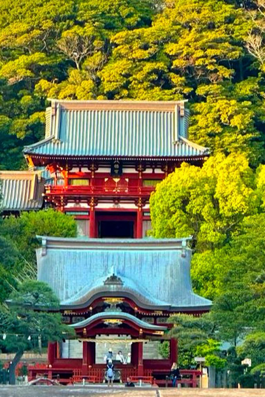 From Tokyo: Kamakura and Enoshima Full-Day Private Trip - Hase-dera, Gardens, and Views Toward the Coast