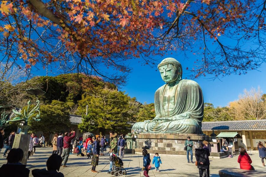 From Tokyo: Kamakura Full Day Tour with a Local Expert Guide - Key points to know before booking