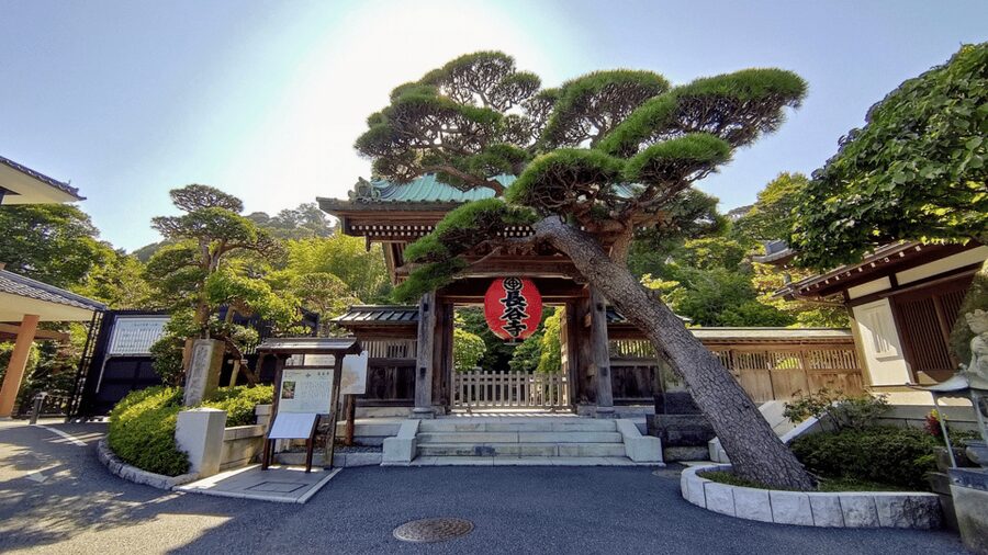 From Tokyo: Kamakura Full Day Tour with a Local Expert Guide - Zen temples, gardens, and quieter moments