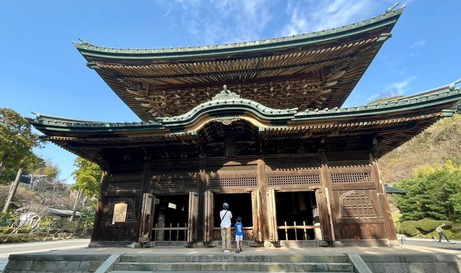 From Tokyo: Kamakura Full Day Tour with a Local Expert Guide - Walking, shopping, and the shape of the day