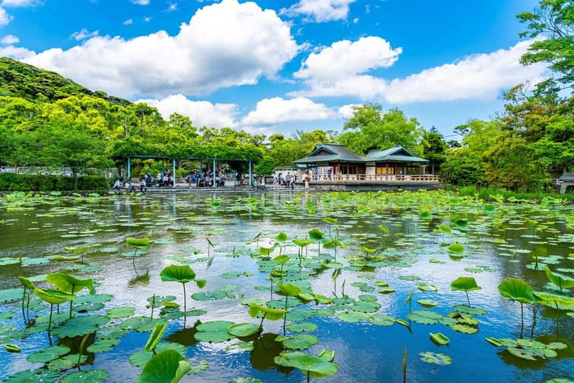 From Tokyo: Kamakura, Great Buddha, and Enoshima Bus Tour - Komachi-dori, food, and free time