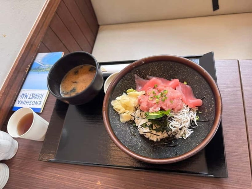 From Tokyo: Kamakura, Great Buddha, and Enoshima Bus Tour - Guide quality and the pace of the day