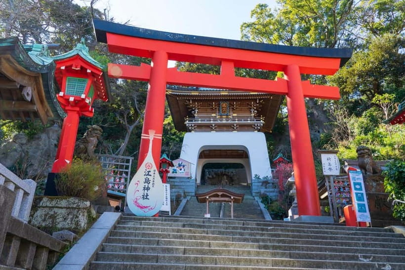 From Tokyo: Kamakura, Great Buddha, and Enoshima Bus Tour - Who should book this Kamakura and Tokyo tour