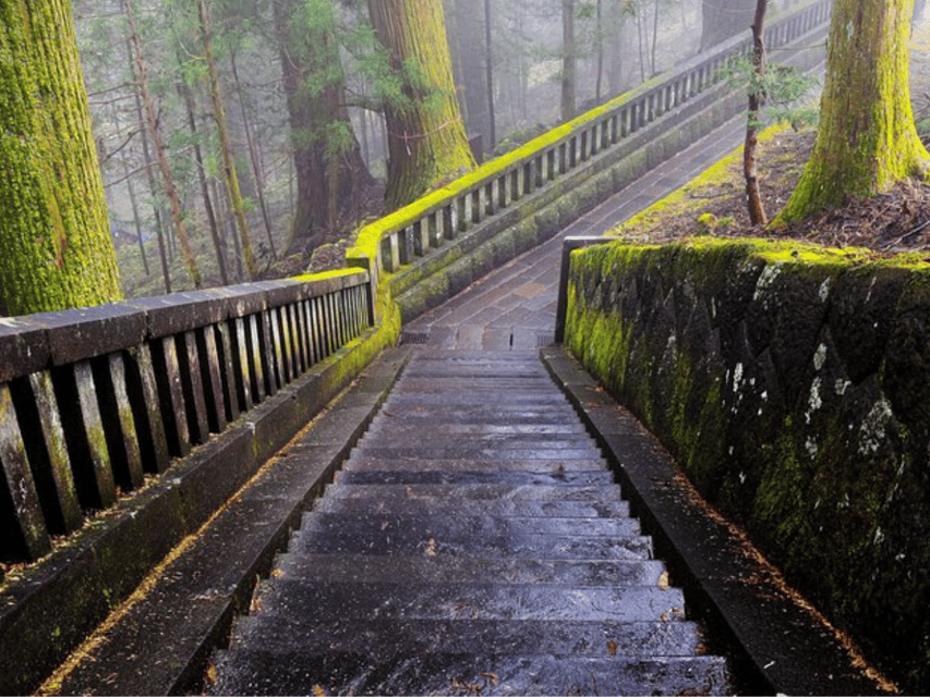 From Tokyo: Nikko Customised Private 1 Day Sightseeing Tour - Nikko National Park between the main sights