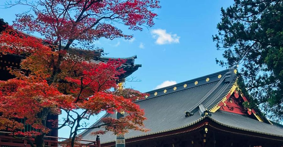 From Tokyo: Nikko Customize private Tour With English Driver - Rinnoji Temple for a quieter religious pause