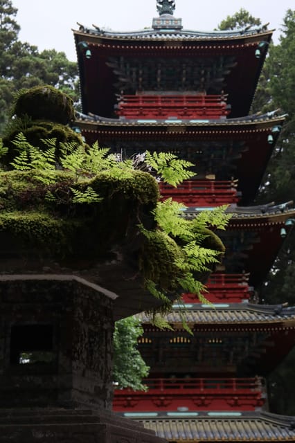 From Tokyo: Nikko Customized Private English Full-Day Trip - Food, markets, and the limits of the schedule