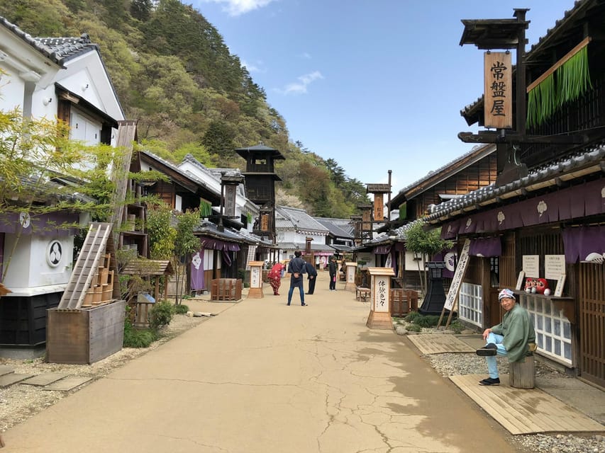 From Tokyo: Nikko Full-Day Sightseeing Trip - Who should book this Nikko tour?