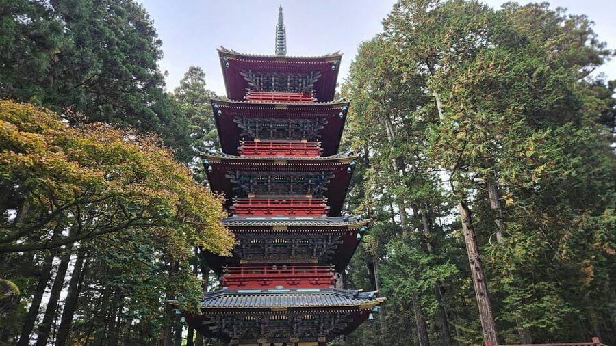 From Tokyo: Nikko Full-Day Sightseeing Trip - Toshogu Shrine and the center of Nikko’s culture