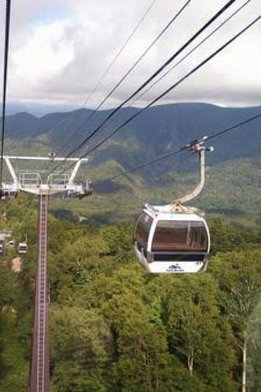 From Tokyo: Nikko luxury Tour with English-speaking Guide - Why Nikko works as a full-day trip from Tokyo