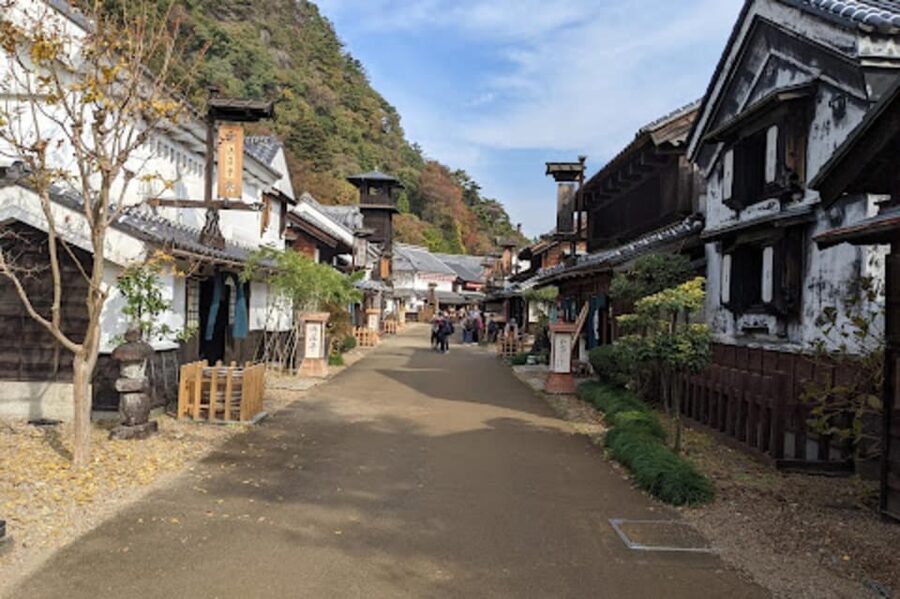From Tokyo: Nikko luxury Tour with English-speaking Guide - Futarasan Shrine and the quieter side of Nikko