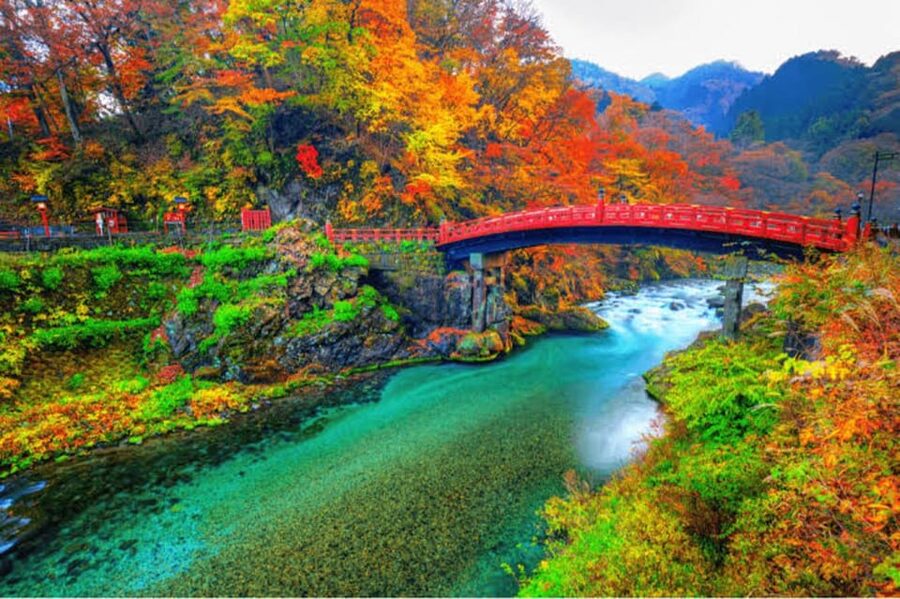 From Tokyo: Nikko luxury Tour with English-speaking Guide - What the private van adds to the experience