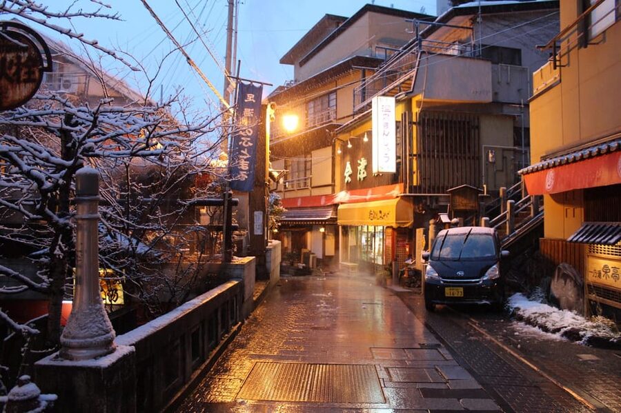 From Tokyo: Nikko Private Tour with English-speaking Guide - Toshogu Shrine: allow more than a quick hour