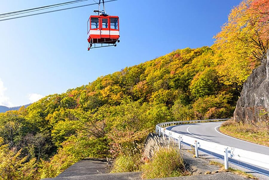 From Tokyo: Nikko Private Tour with English-speaking Guide - Narabi Jizo and the quieter side of Nikko
