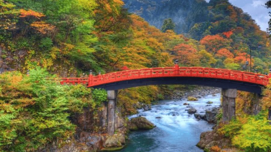 From Tokyo: Nikko World Heritage Full Day Private Tour - Why a private Nikko day makes sense from Tokyo