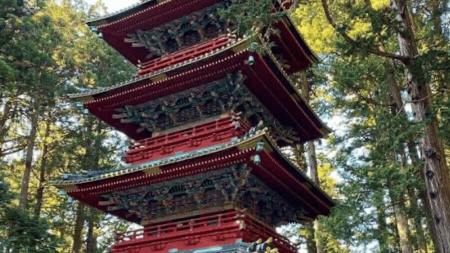 From Tokyo: Nikko World Heritage Full Day Private Tour - What about Edo Wonderland?