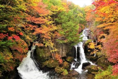 Nikko World Heritage Site Private Full-Day Trip