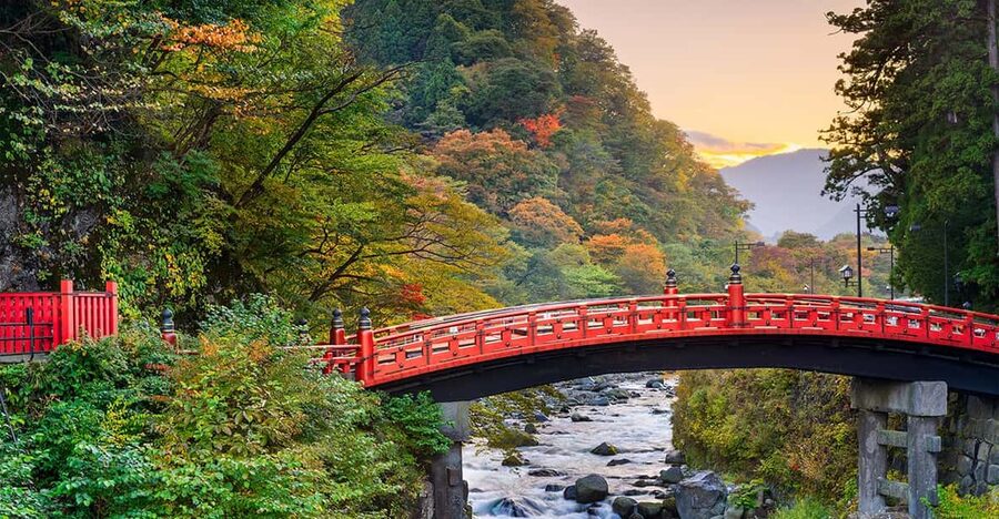 From Tokyo: Nikko World Heritage Site Private Full-Day Trip - Toshogu Shrine is the essential cultural stop