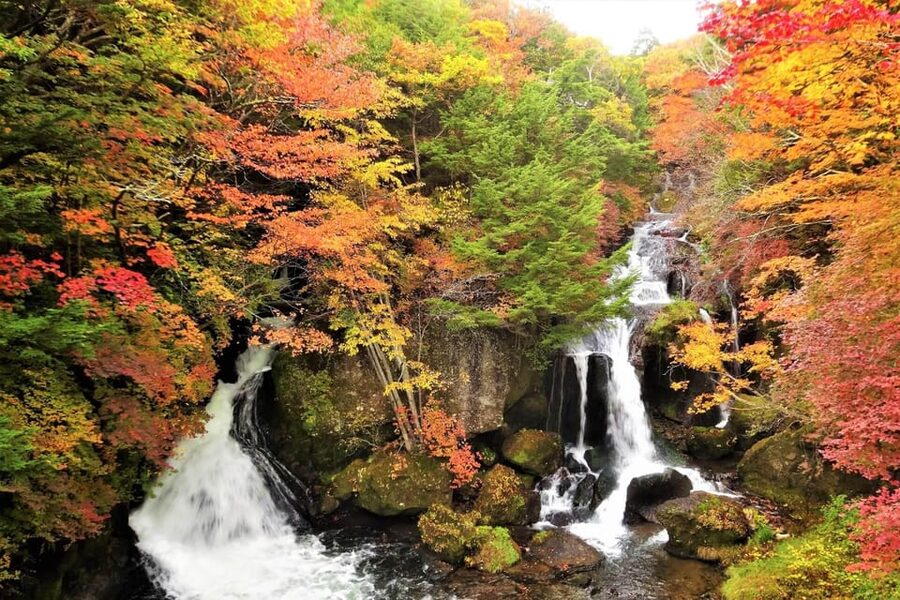 From Tokyo: Nikko World Heritage Site Private Full-Day Trip - A luxury vehicle makes the long day easier