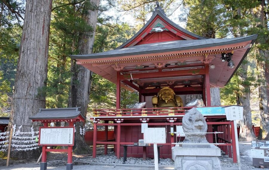 From Tokyo: Private Nikko World Heritage Sights Day Trip - Akechidaira Observation Area and the mountain views