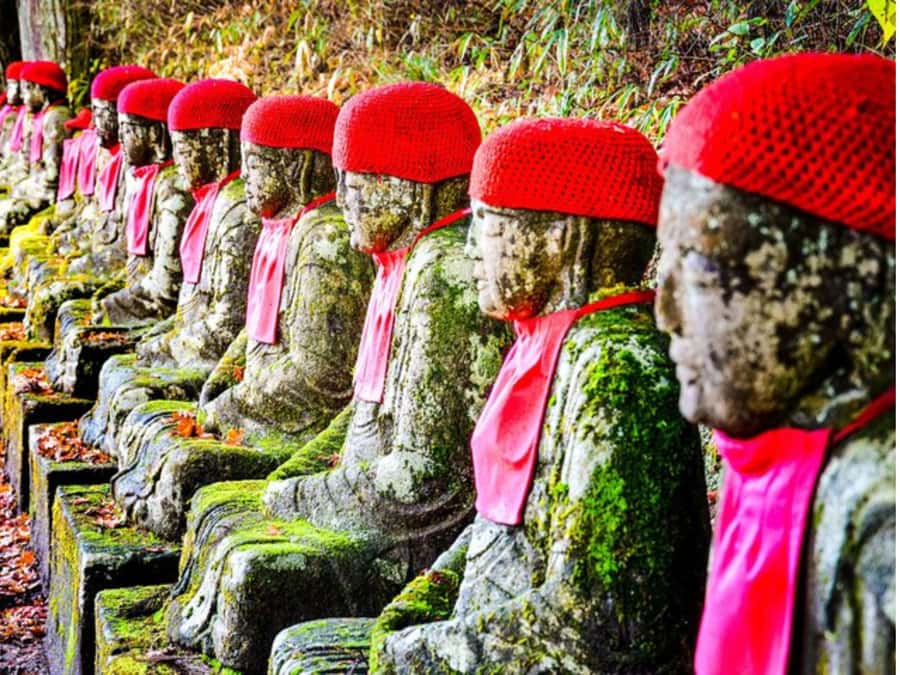 From Tokyo: Private Nikko World Heritage Sights One Day Trip - Toshogu Shrine and the Tokugawa story