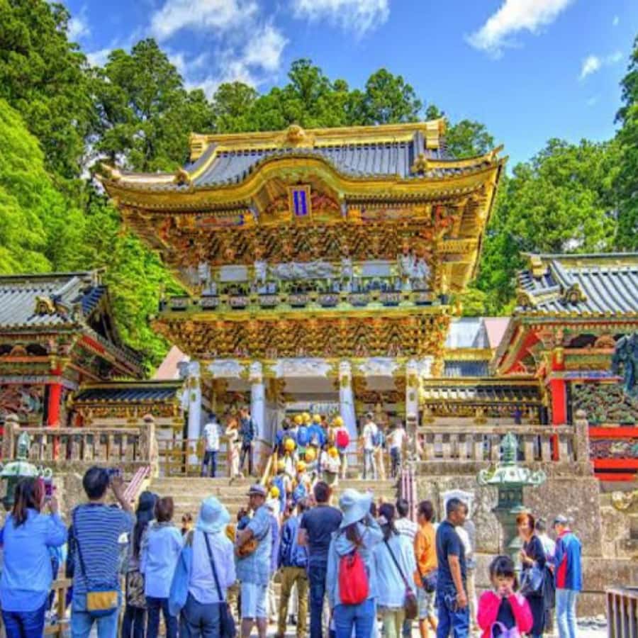 From Tokyo: Private Nikko World Heritage Sights One Day Trip - Edo Wonderland and the limits of a packed schedule