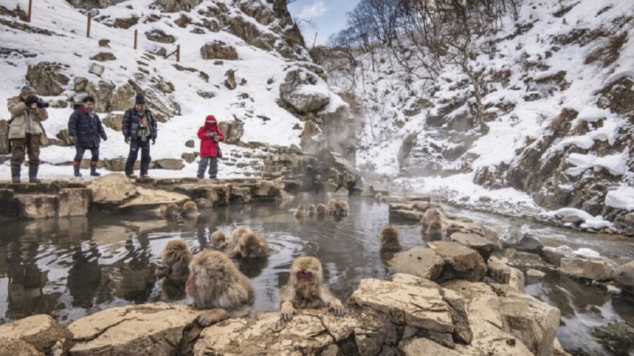 From Tokyo: Private Tour Snow Monkey Park & Zenko-ji Temple - The long ride from Tokyo to Nagano