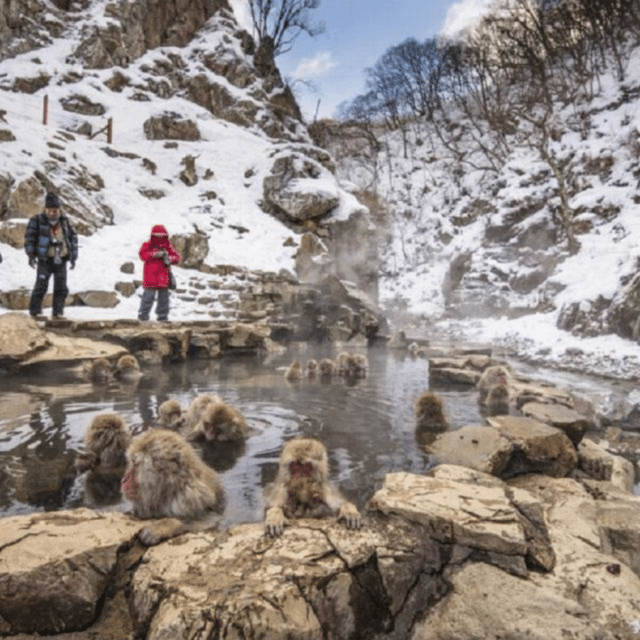 From Tokyo: Snow Monkey Park & Zenko-ji Temple Private Tour - Matsushiro Castle Ruins are a short history lesson
