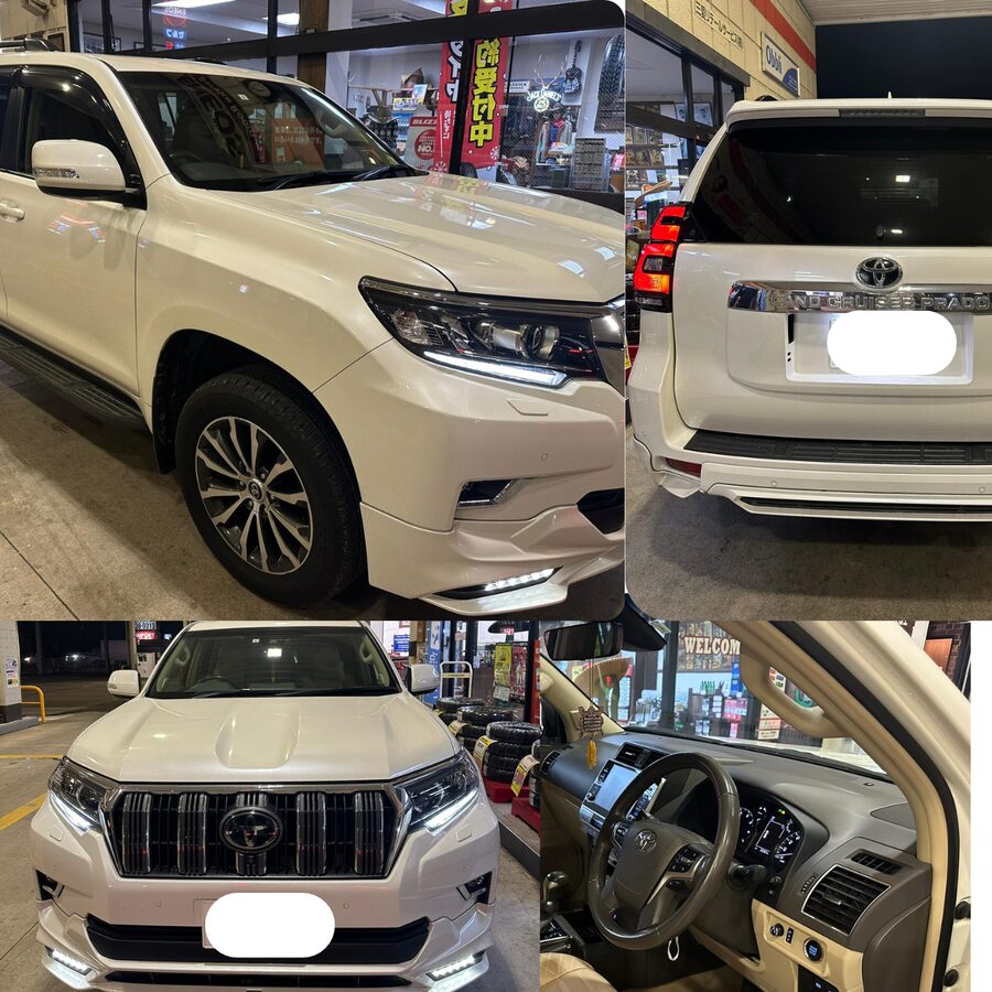 From Tokyo: Snow Monkey Park & Zenko-ji Temple Private Tour - A private Vellfire changes the practical side
