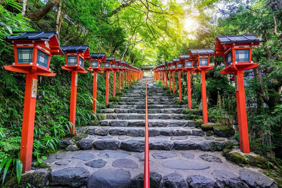 From Tokyo: Snow Monkeys and Zenkoji Temple Day Trip - Is the $515 group price good value?