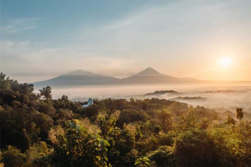 From Yogyakarta: Borobudur Sunrise 8-hour Include Entry Fee - Should you book it?