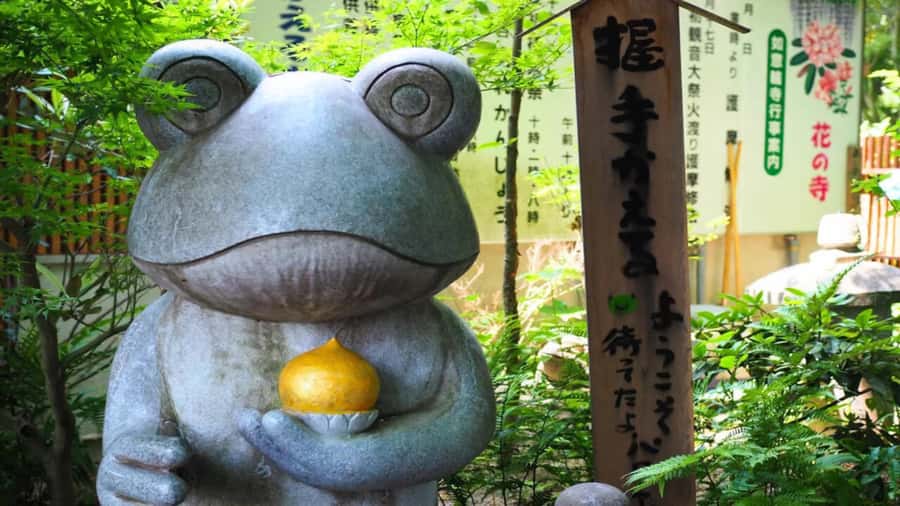 Fukuoka: Beppu Hells HotSpring, Frog Temple & Yufuin DayTrip - Key points to know before booking