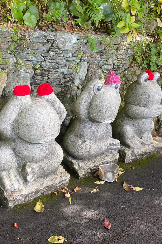 Fukuoka: Nanzoin Temple and Reclining Buddha Guided Tour - Timing, booking, and practical details
