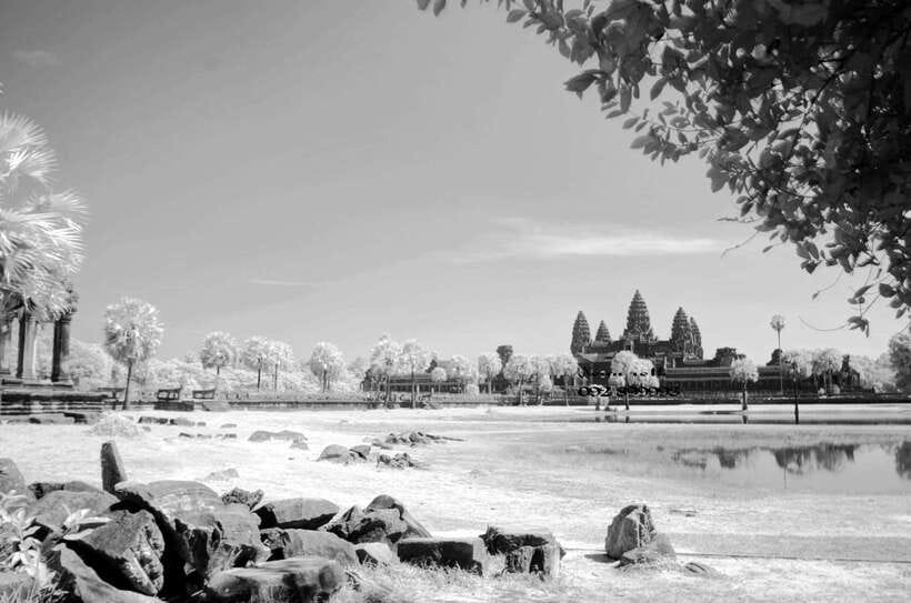 Full-Day Angkor Wat Sunrise and Sunset Private Tour - Ta Prohm and the famous tree roots