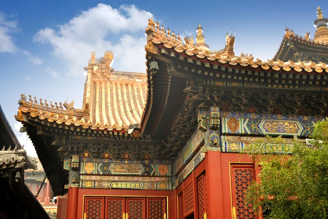 Full-Day Beijing City Tour: Hutongs, Lama Temple and Panda House - Panda House: a focused animal stop