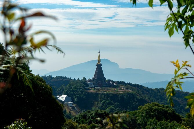 Full-Day Doi Inthanon National Park Tour with Trek and Pagodas - Why this Doi Inthanon day trip works
