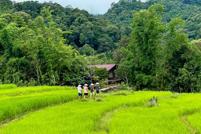 Full-Day Doi Inthanon National Park Tour with Trek and Pagodas - The King’s and Queen’s Pagodas