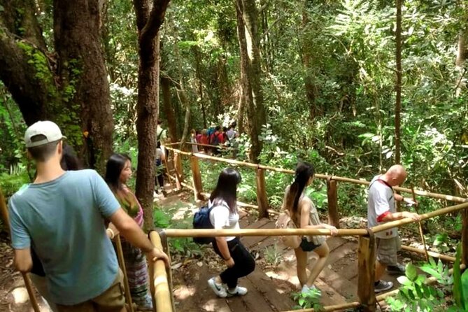 Full-Day Doi Inthanon National Park Tour with Trek and Pagodas - Lunch at the Hmong Market